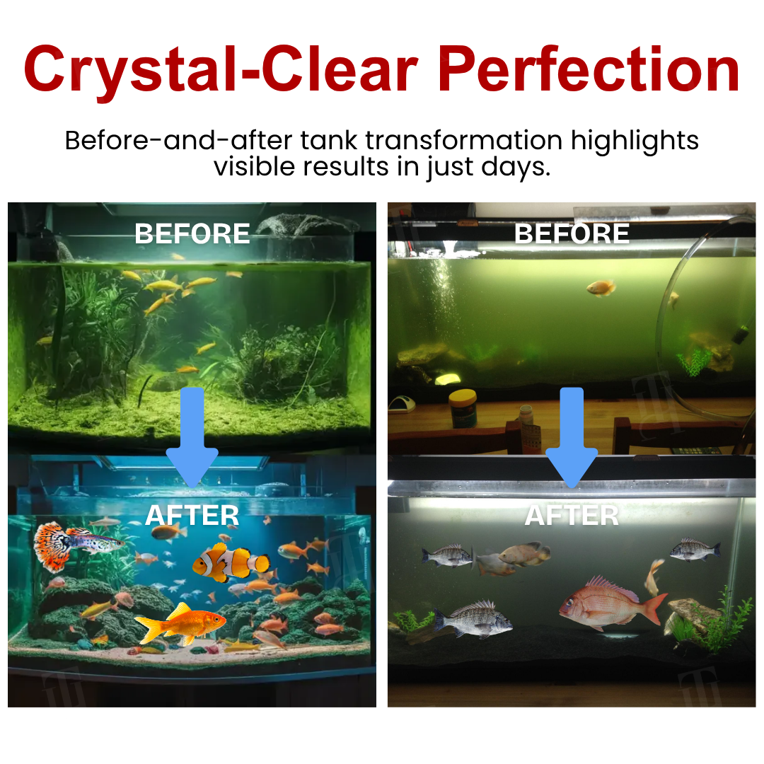 🌟 Official Store |🔥Hot Sale - 50% OFF🌿CVREOZ® ECO-DEFENSE PRO (Offer)