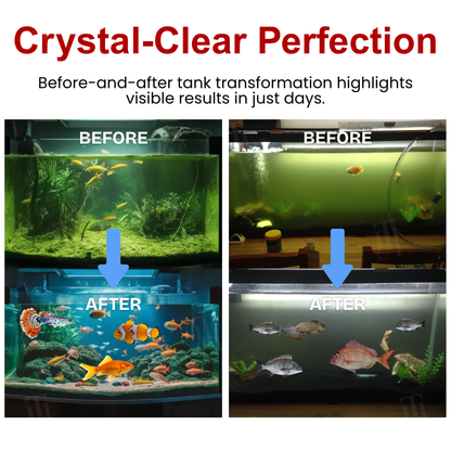 🌟 Official Store |🔥Hot Sale - 50% OFF🌿CVREOZ® ECO-DEFENSE PRO (Offer)