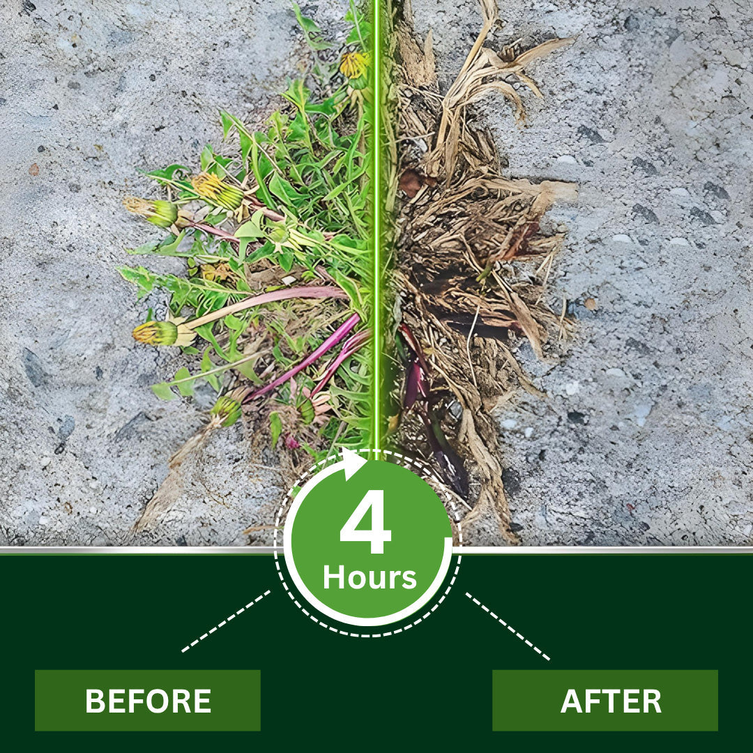 🌿 Cvreoz® 2-in-1 Weed Killer | Same-Day Results & Kills Roundup-Resistant Weeds (Offer)
